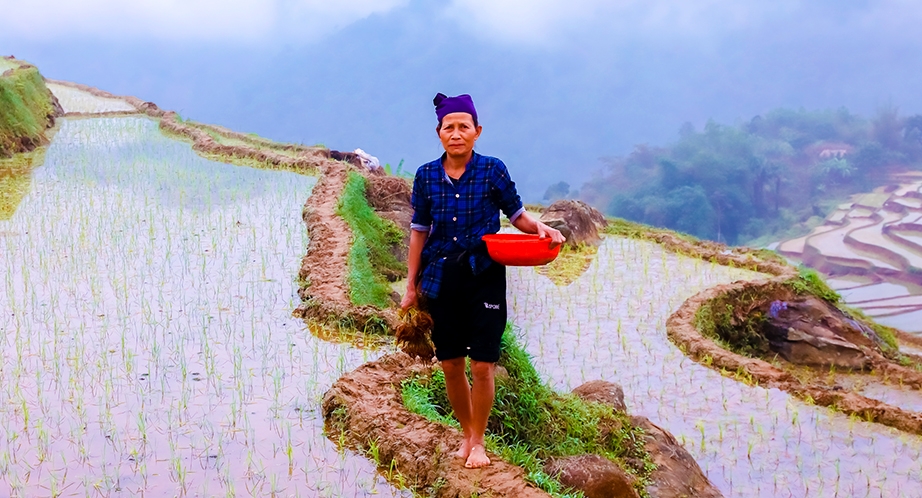 Day 4: Mai Chau - Pu Luong (Breakfast, Lunch, Dinner)